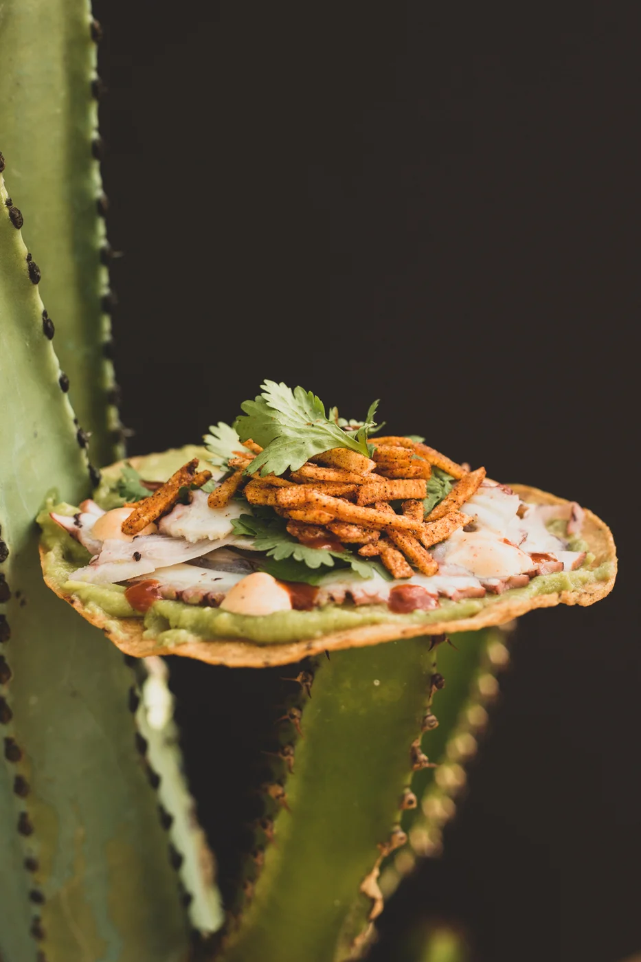 Tostada de Pulpo